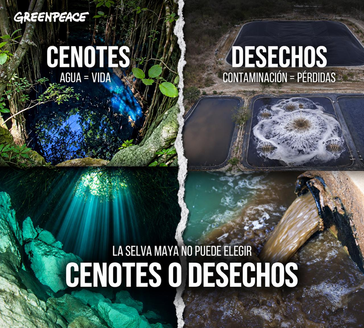 La selva maya no puede elegir: cenotes o desechos