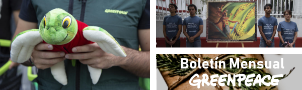 BannerBoletinSociosDic