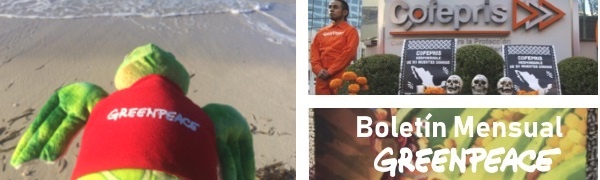 BannerNov2