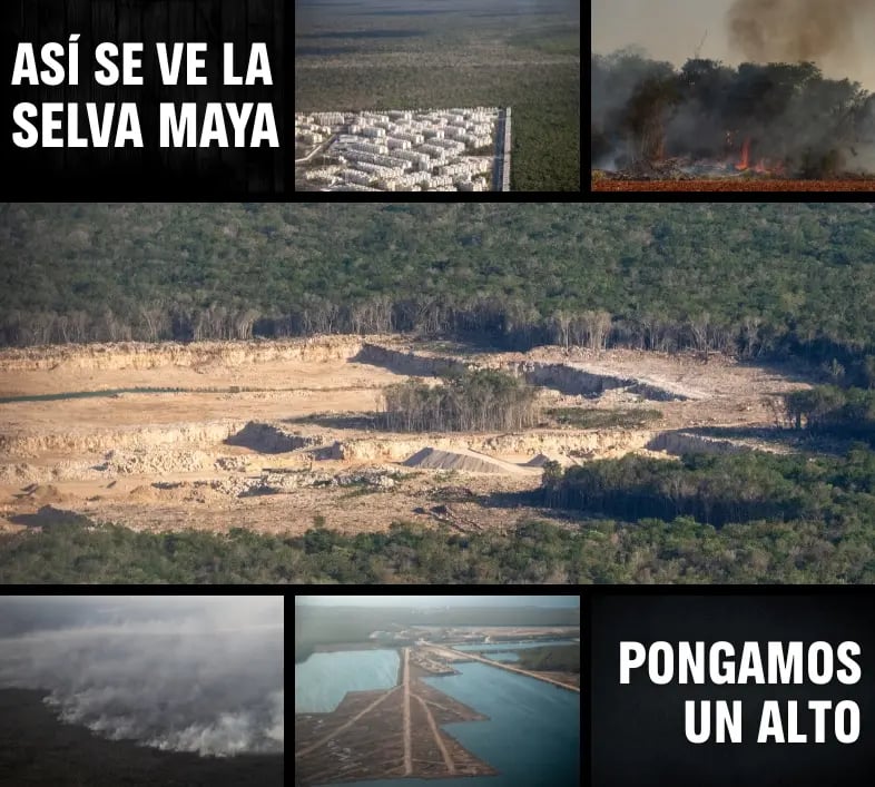 Así se ve la selva maya, fotografías de deforestación e incendios