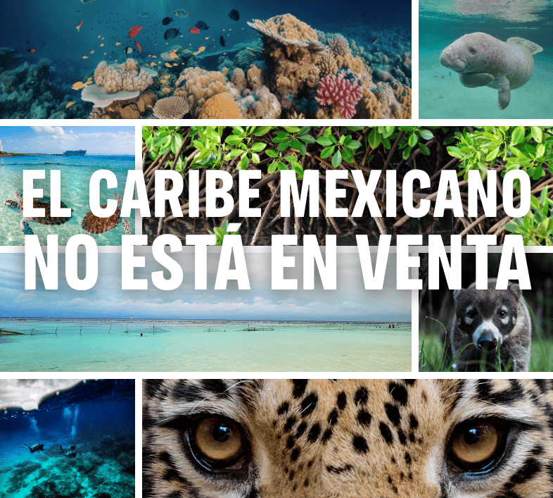 El Caribe Mexicano no está en venta