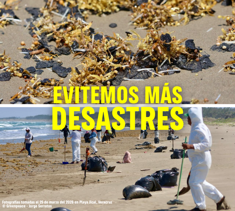 Petición hubspot (17)