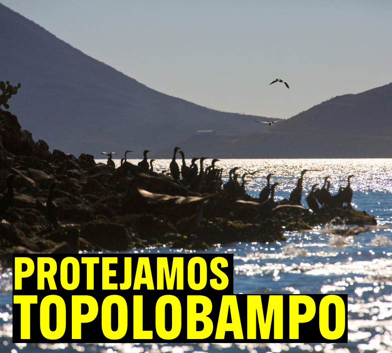 Protejamos Topolobampo