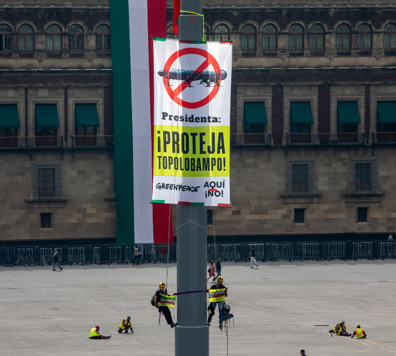 Activistas de Greenpeace México escalaron la asta bandera y desplegaron una imagen con el texto: Presidenta, ¡proteja Topolobampo!