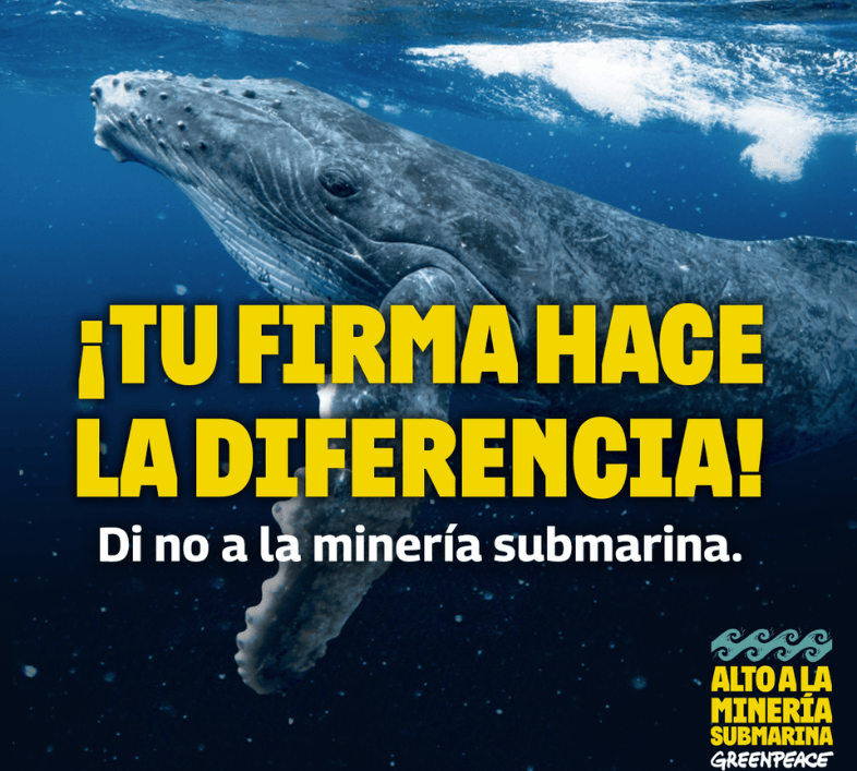 Tu firma hace la diferencia, di no a la minería submarina.