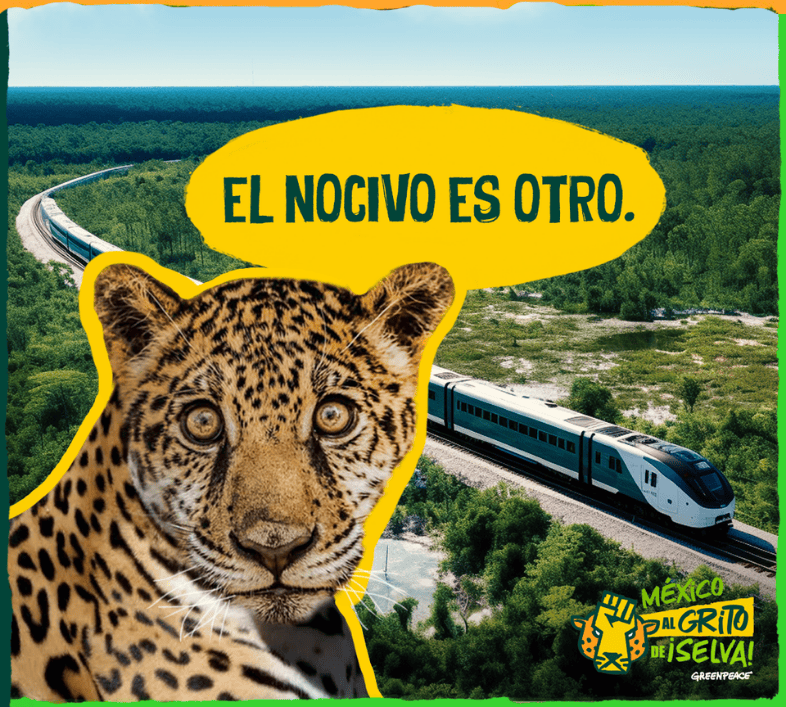 El nocivo es otro. Fauna nociva selva maya