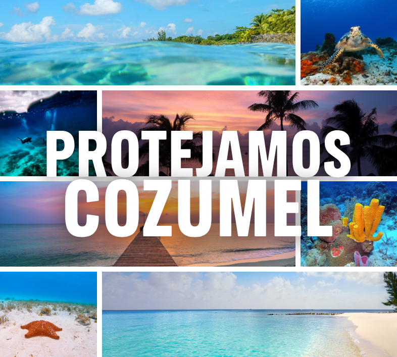 Protejamos Cozumel