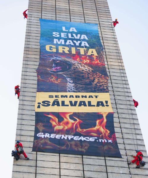 La_selva_maya_grita_2