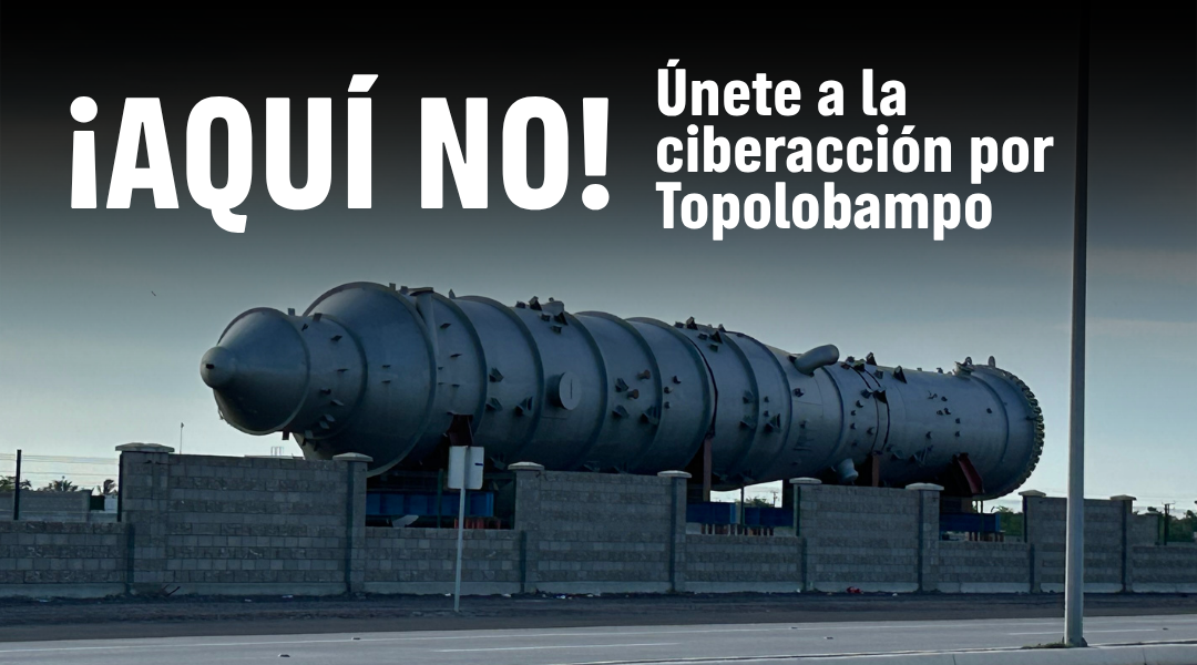 ¡Aquí no! Únete a la ciberacción por Topolobampo